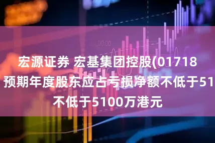 宏源证券 宏基集团控股(01718)发盈警，预期年度股东应占亏损净额不低于5100万港元