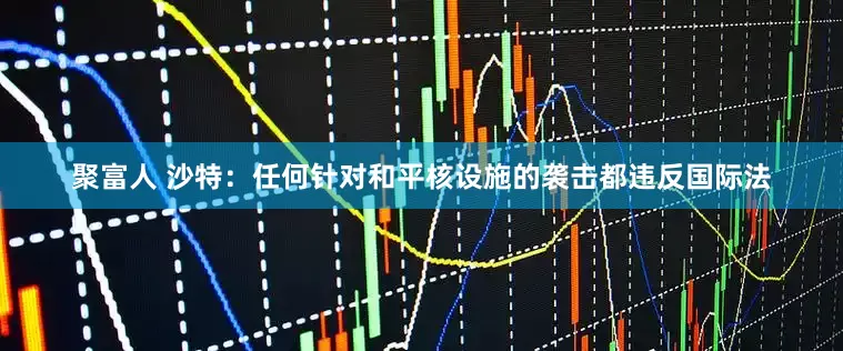 聚富人 沙特：任何针对和平核设施的袭击都违反国际法