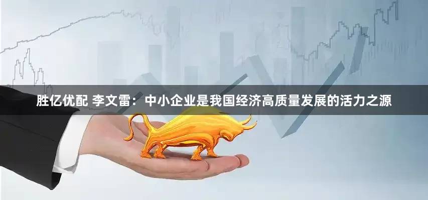 胜亿优配 李文雷：中小企业是我国经济高质量发展的活力之源