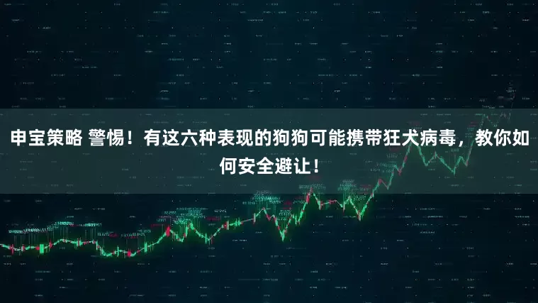 申宝策略 警惕！有这六种表现的狗狗可能携带狂犬病毒，教你如何安全避让！
