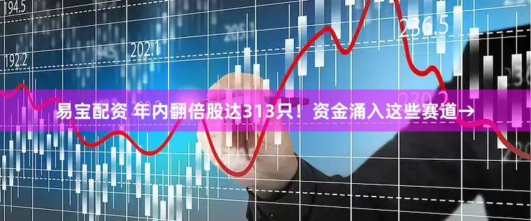 易宝配资 年内翻倍股达313只！资金涌入这些赛道→