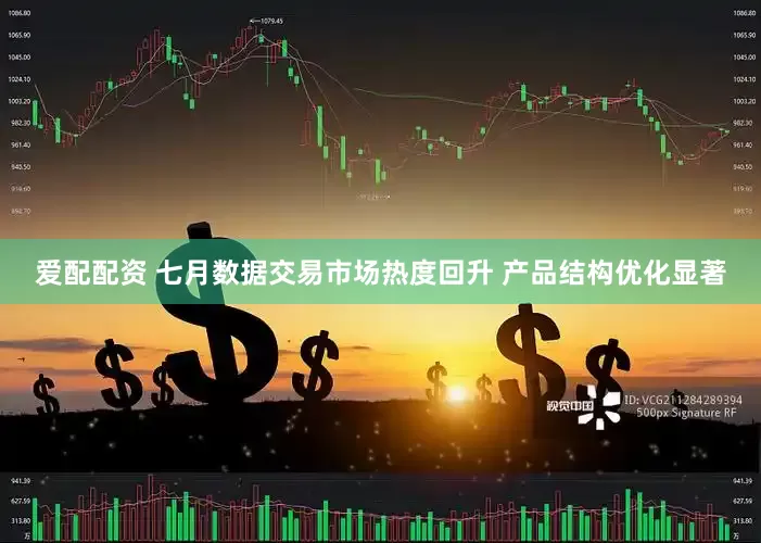 爱配配资 七月数据交易市场热度回升 产品结构优化显著